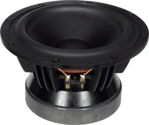 Tang Band W8-2096 Woofer