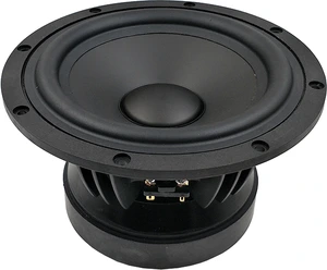 Tang Band W8-2096B Woofer