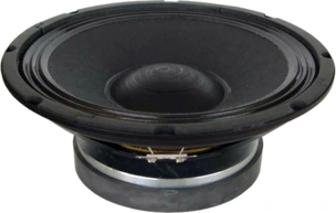 Tang Band WT-998D Woofer
